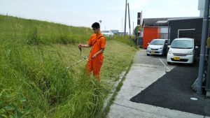 工場横の河川敷、草刈りしてます。夏草の花粉症の人はこの草たちが原因だったりするのです。そうです。わたしは花粉症です。